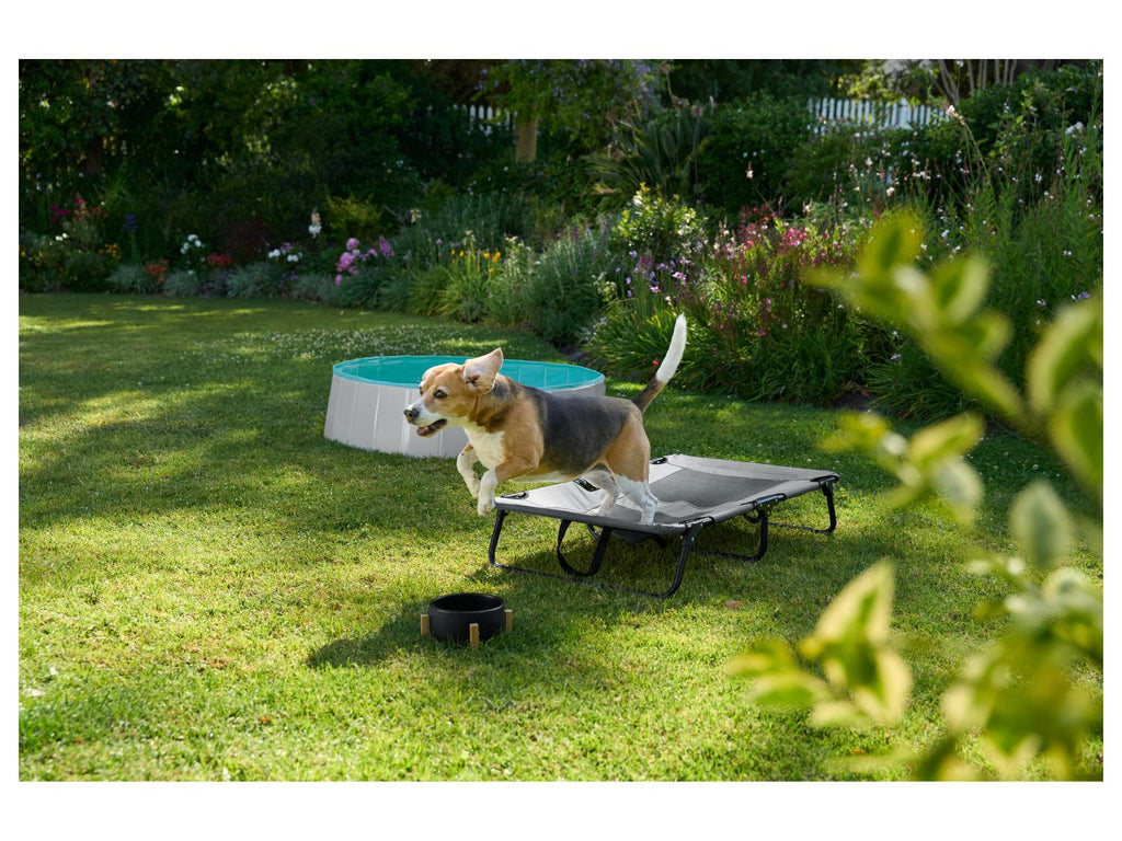 zoofari Lit de camp avec pare-soleil ou Panier pliant pour chien
