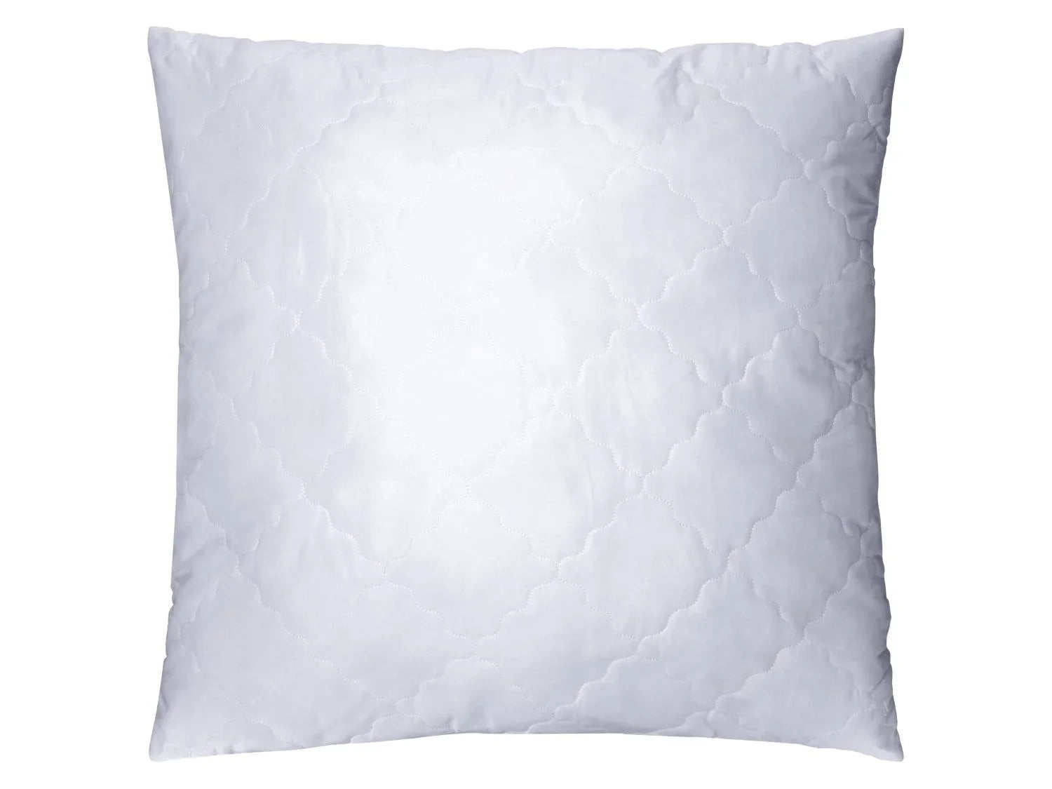 LIVARNO Oreiller lavable  haute temprature, 60 x 60 cm