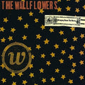WALLFLOWERS - BRINGING DOWN THE HORSE Vinyl LP