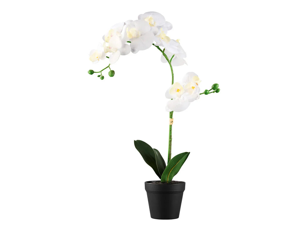 LIVARNO home Plante artificielle