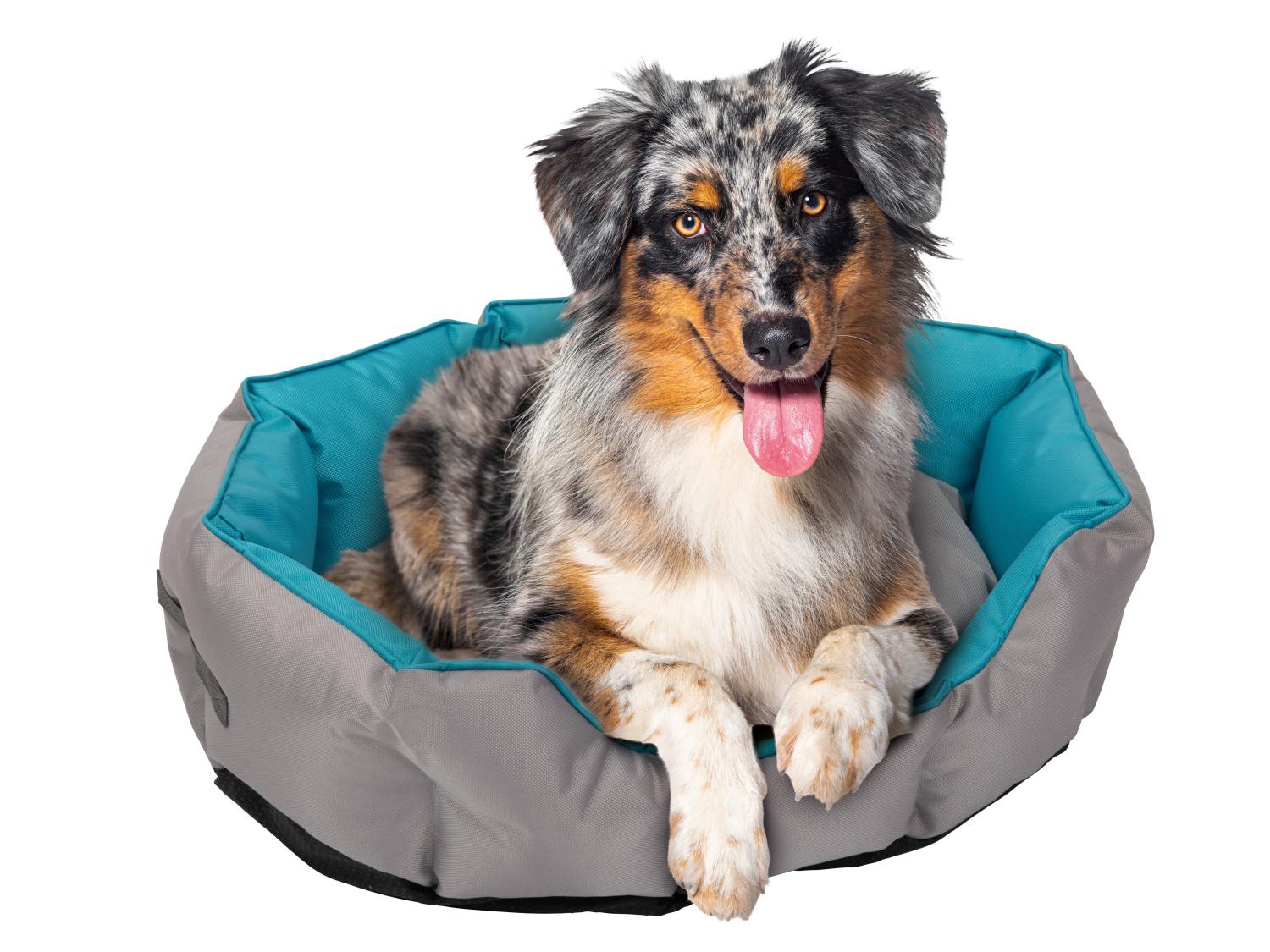 zoofari Panier dextrieur pour chien