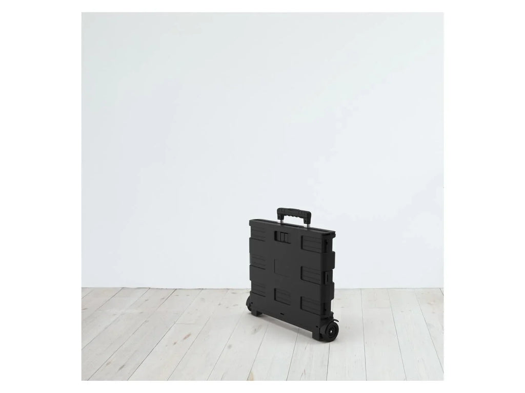 LIVARNO home Caisse de transport  roulettes