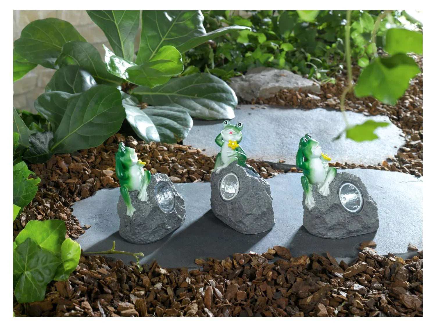 LIVARNO home Lampes solaires  LED