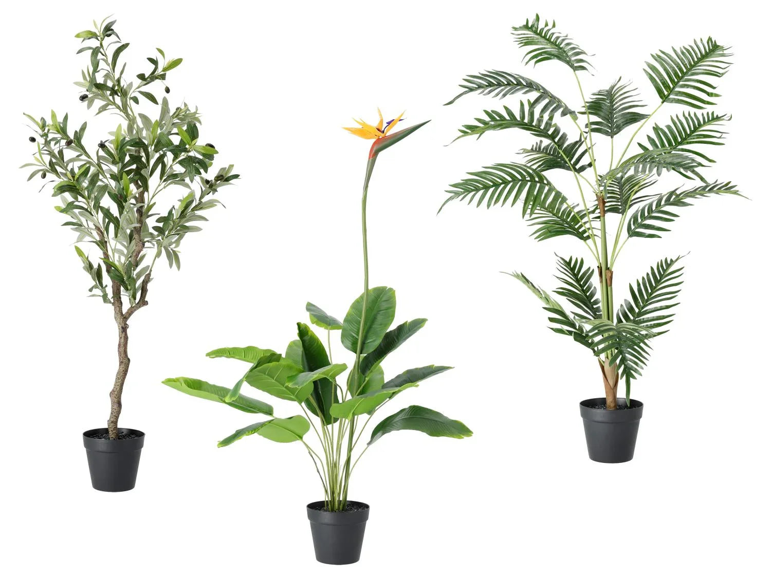 LIVARNO Plante artificielle