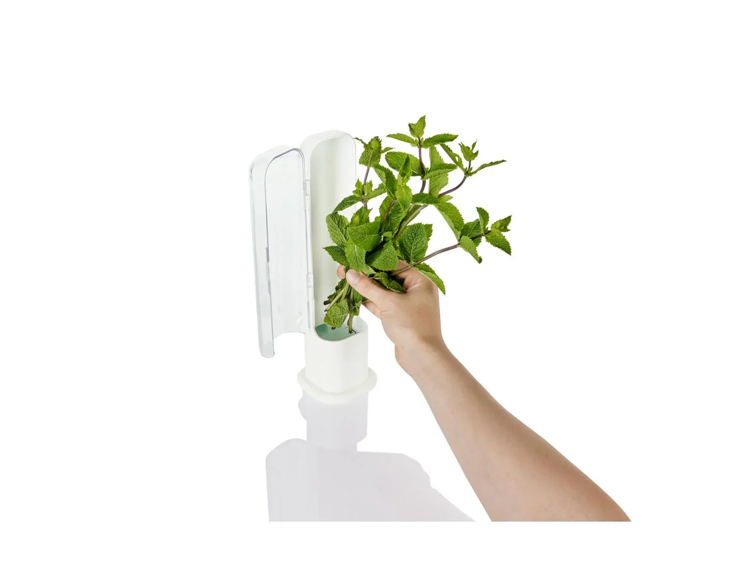 LIVARNO home Bote(s) fracheur pour herbes aromatiques