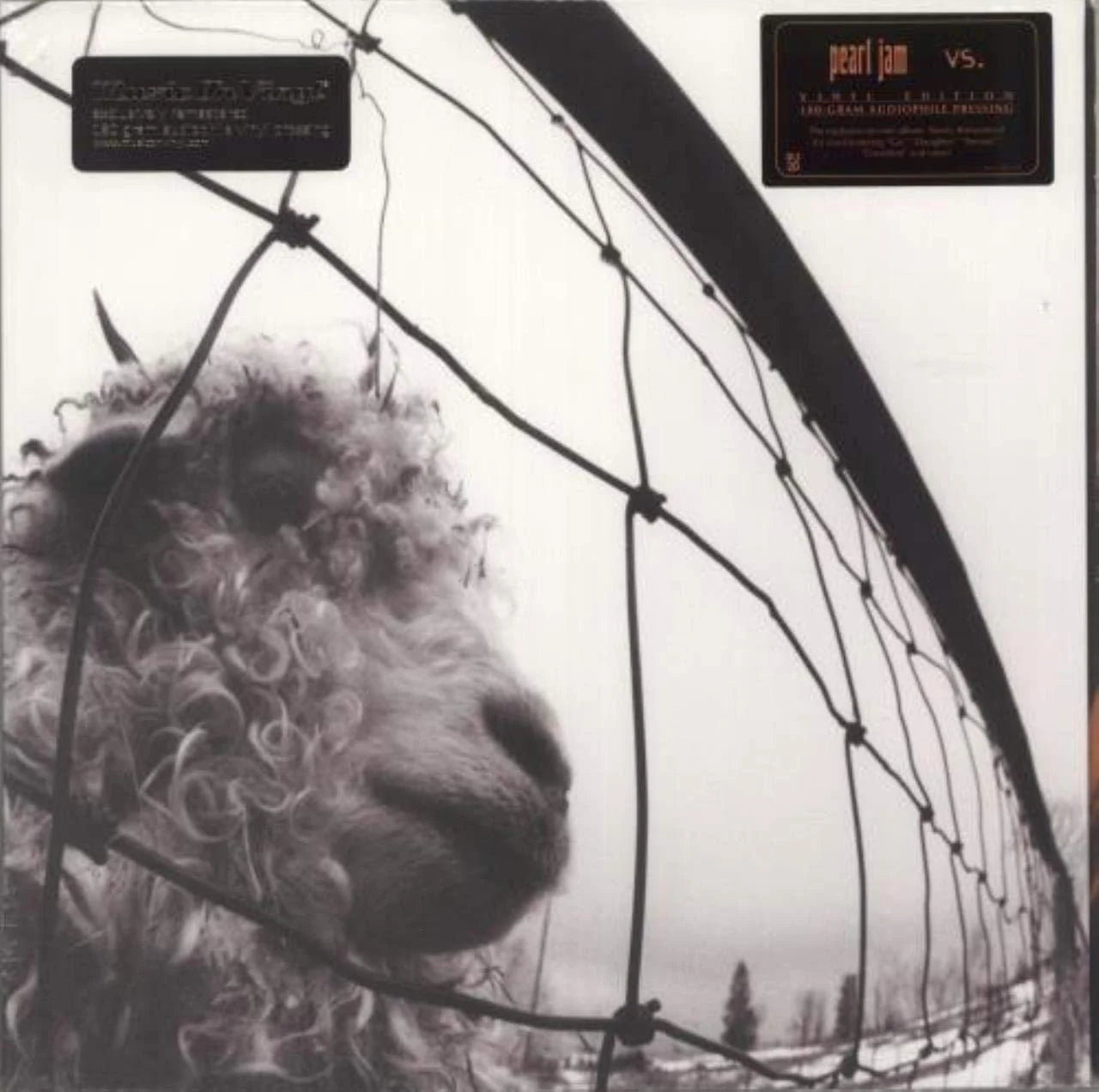 Pearl Jam: VS.