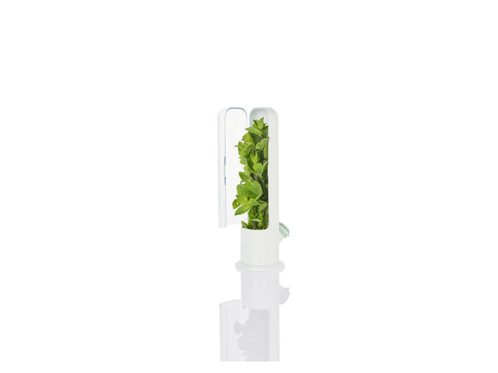 LIVARNO home Bote(s) fracheur pour herbes aromatiques