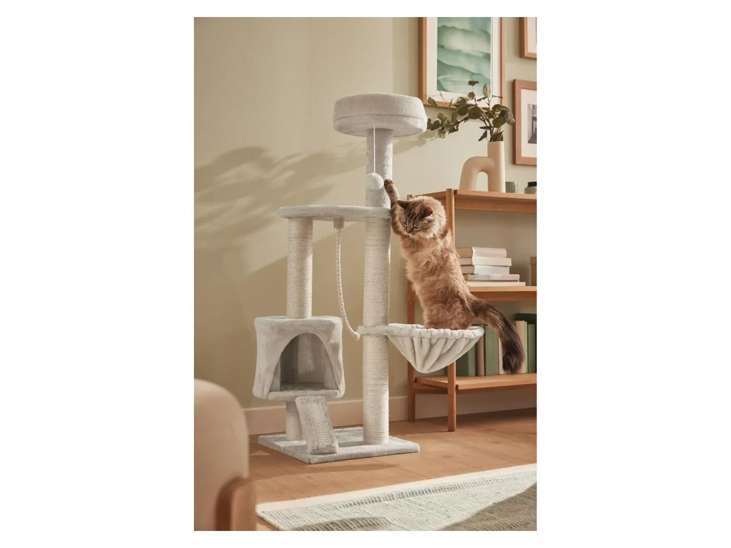 zoofari Arbre  chat, 70 x 115 x 50 cm