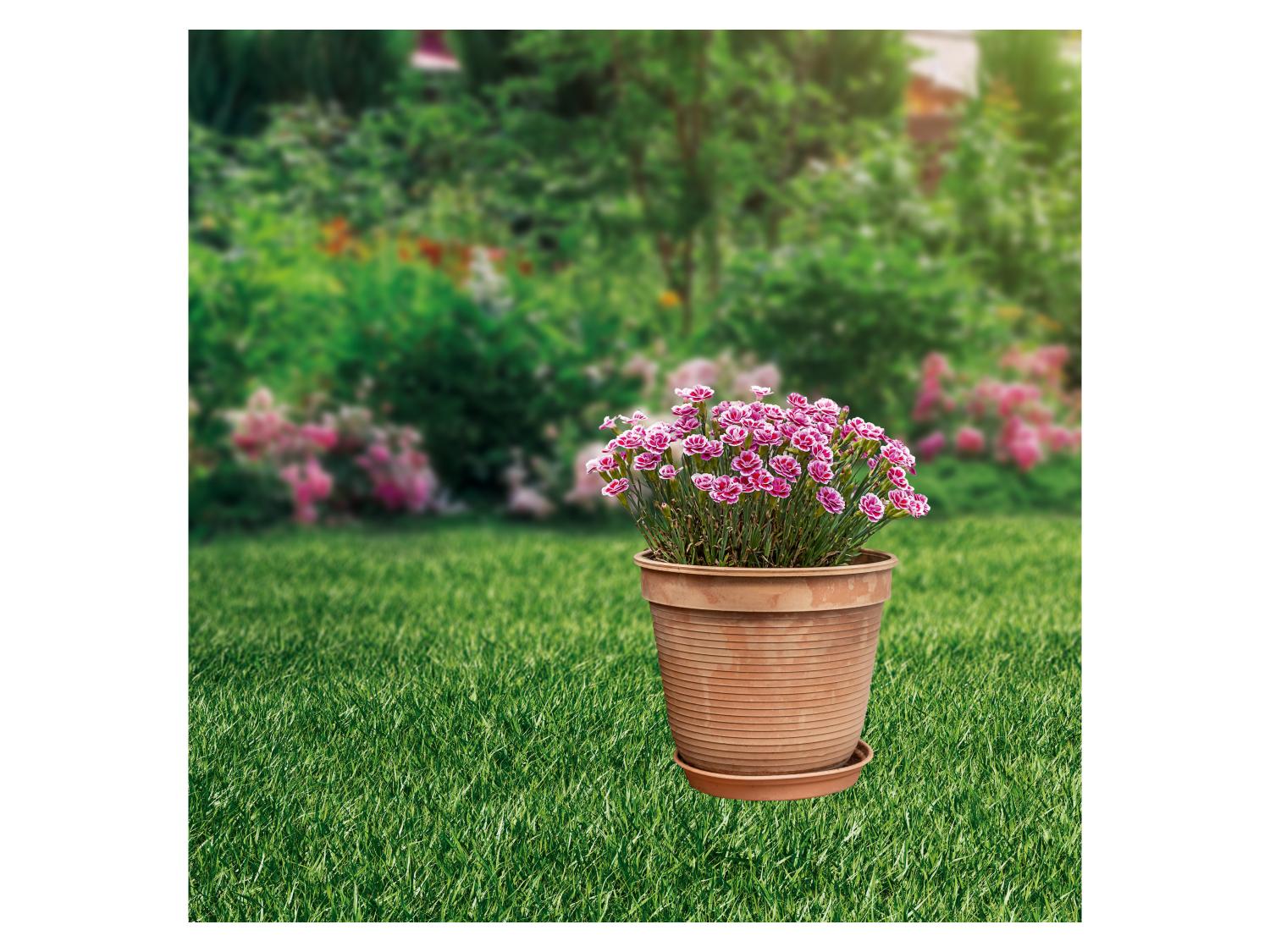 PARKSIDE Set d'arrosage goutte--goutte