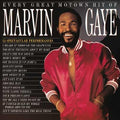 GAYE,MARVIN - EVERY GREAT MOTOWN HIT OF MARVIN GAYE: 15 SPECTACU Vinyl LP