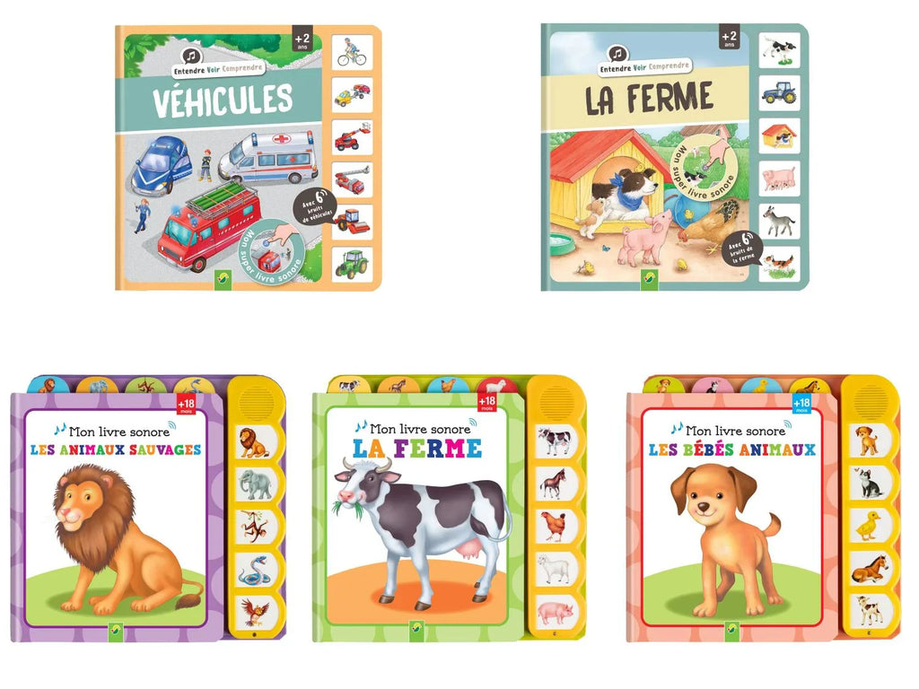 Livre sonore