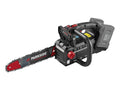 PARKSIDE Trononneuse d'lagage sans fil + chargeur + batterie, 20 V
