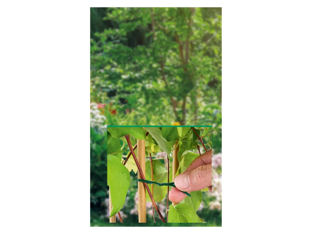 PARKSIDE Set de supports ou fils pour plantes