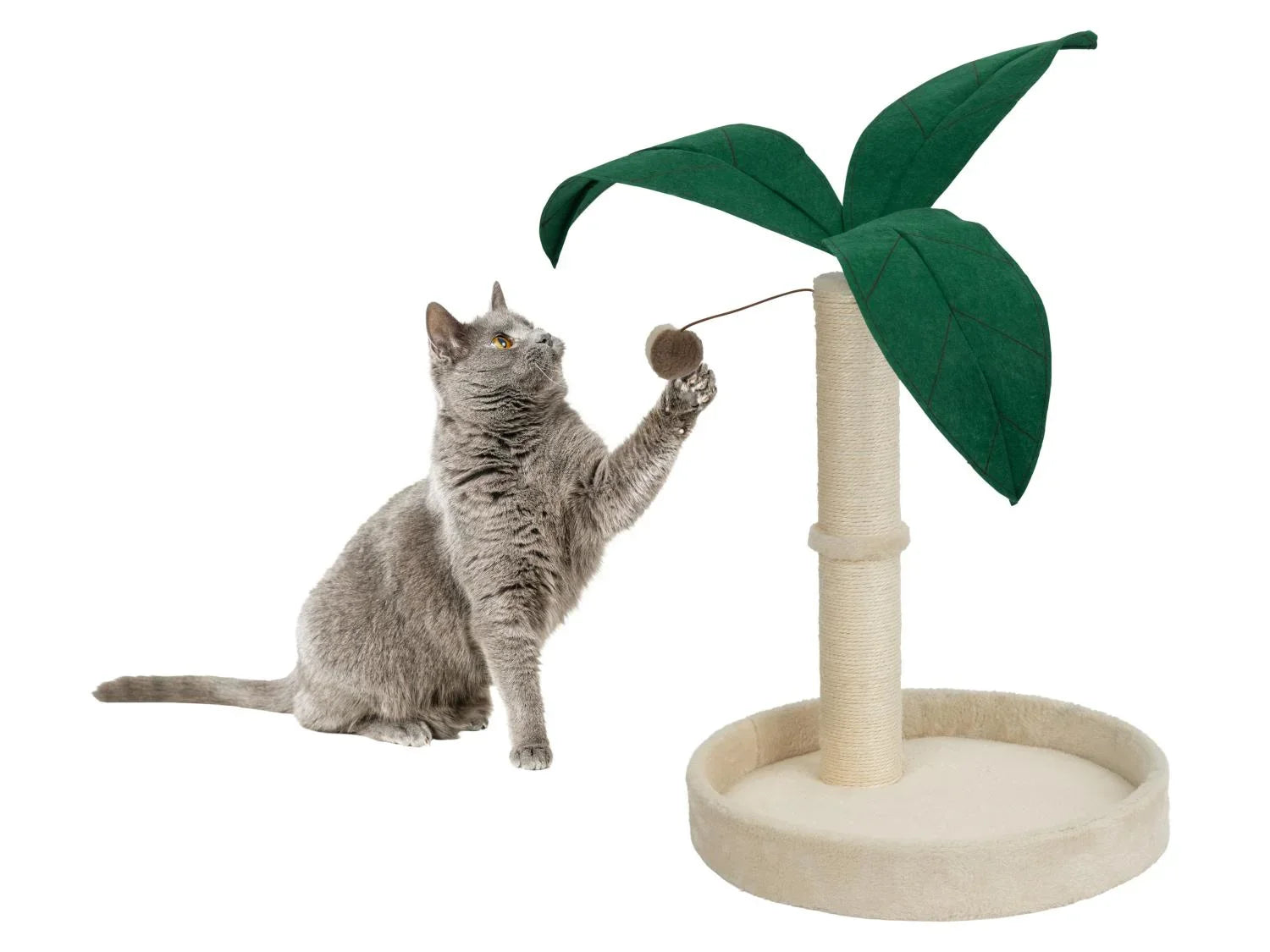 zoofari Griffoir palmier, Hamac ou Tipi pour animal domestique