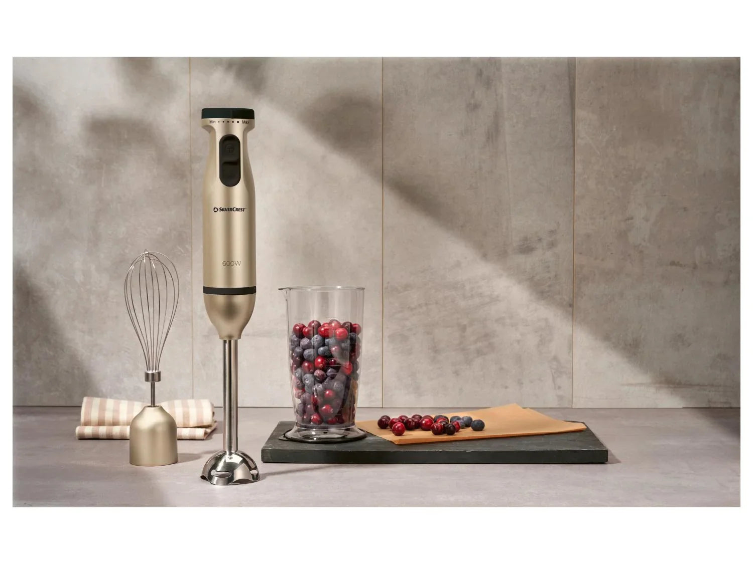 SILVERCREST Mixeur plongeant SSMS 600 E5