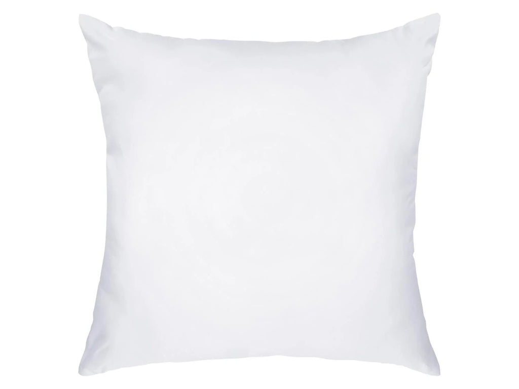 LIVARNO Oreiller anti-acariens, 60 x 60 cm