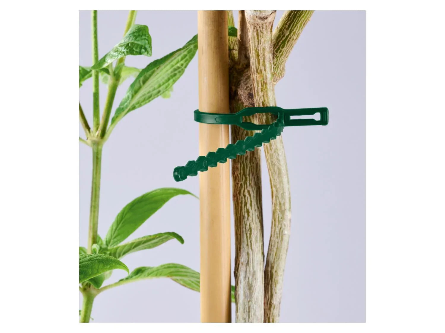 PARKSIDE Set de supports ou fils pour plantes