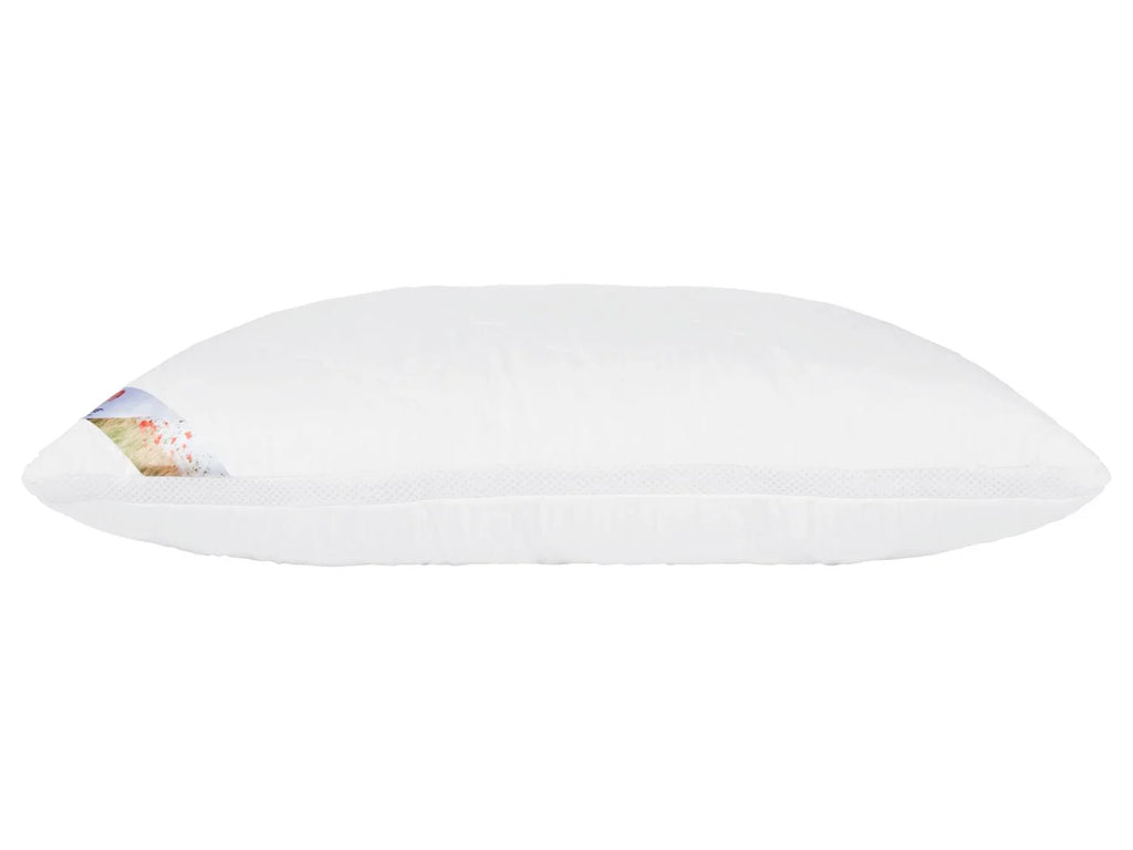 LIVARNO home Oreiller Polygiene, 50x 70 cm