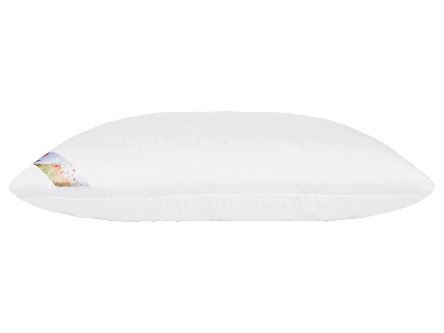 LIVARNO home Oreiller Polygiene, 50x 70 cm