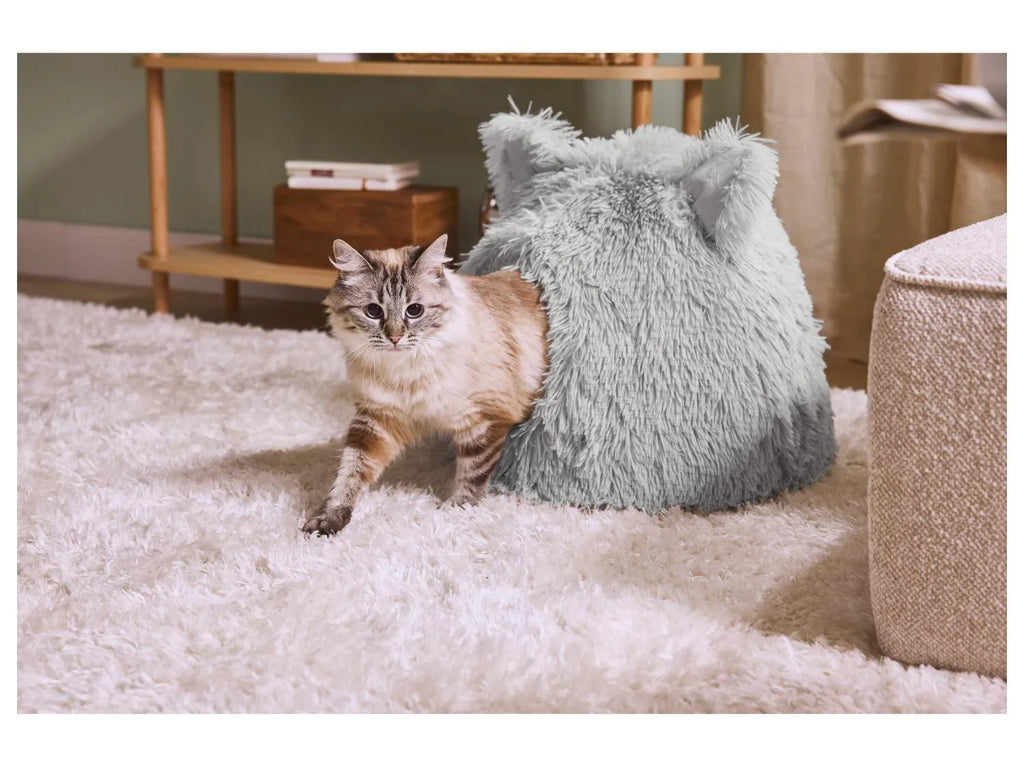 zoofari Panier pour chat ou chien