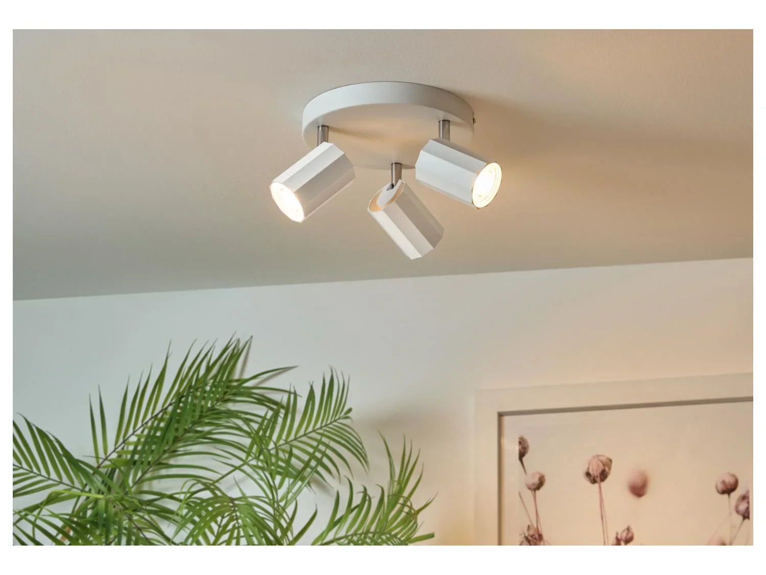 LIVARNO home Plafonnier