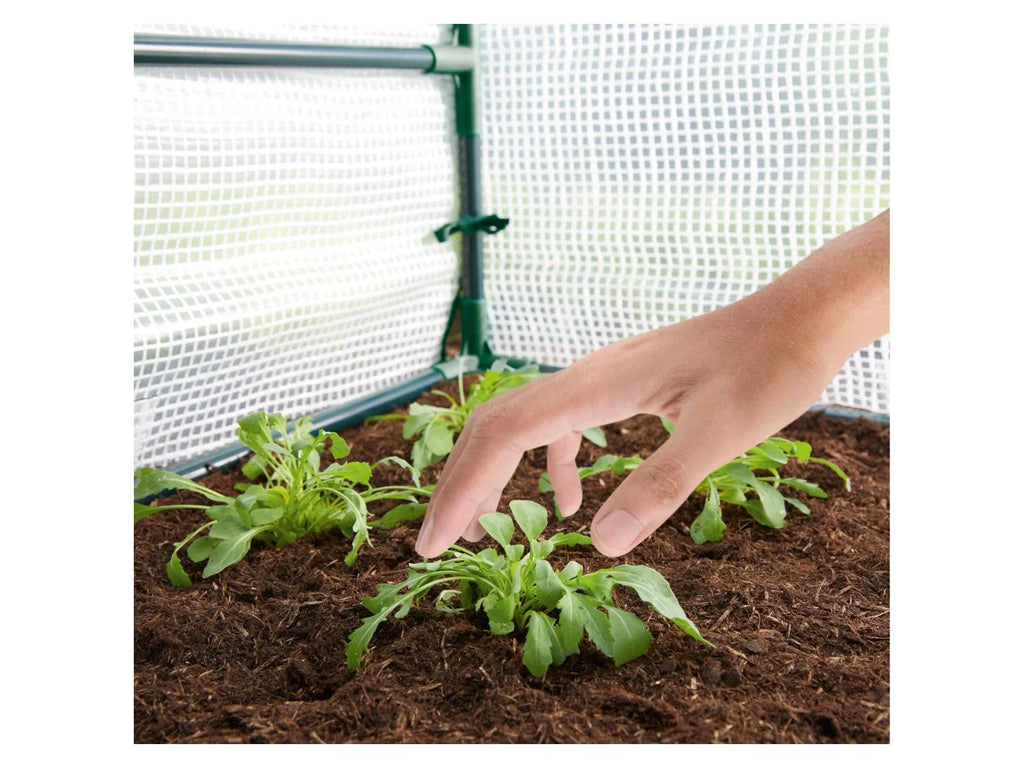 PARKSIDE Serre(s) de jardin en film plastique