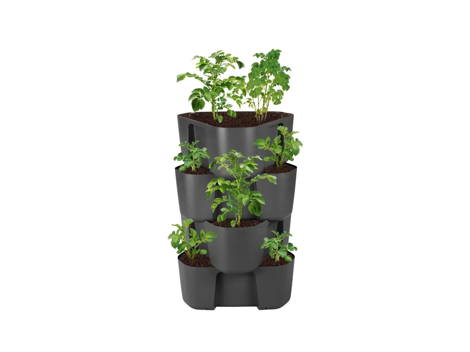 PARKSIDE Lot de 4 tours de culture pour pommes de terre ou plantes