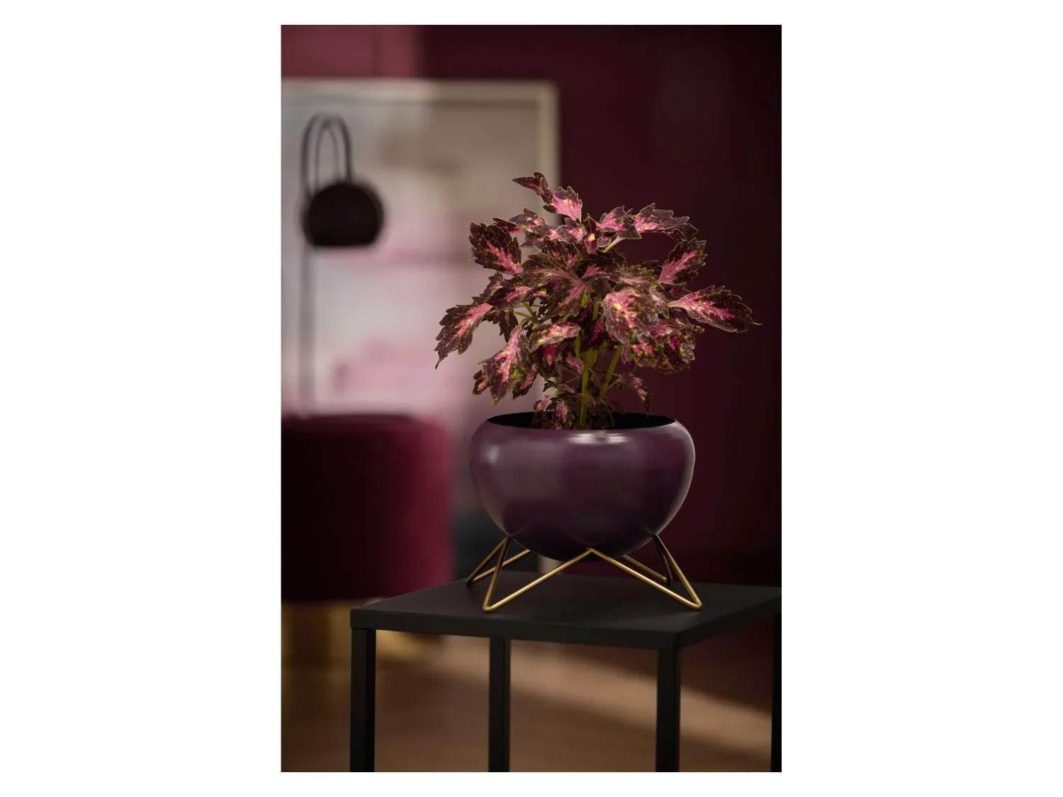 LIVARNO home Pot(s) de fleurs dcoratif(s)
