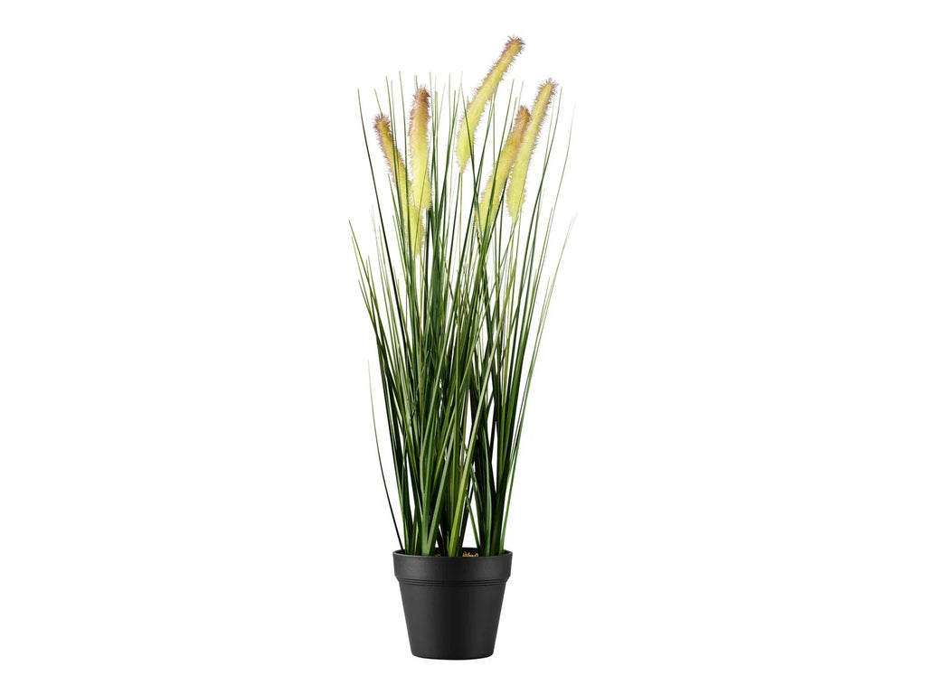 LIVARNO home Plante artificielle