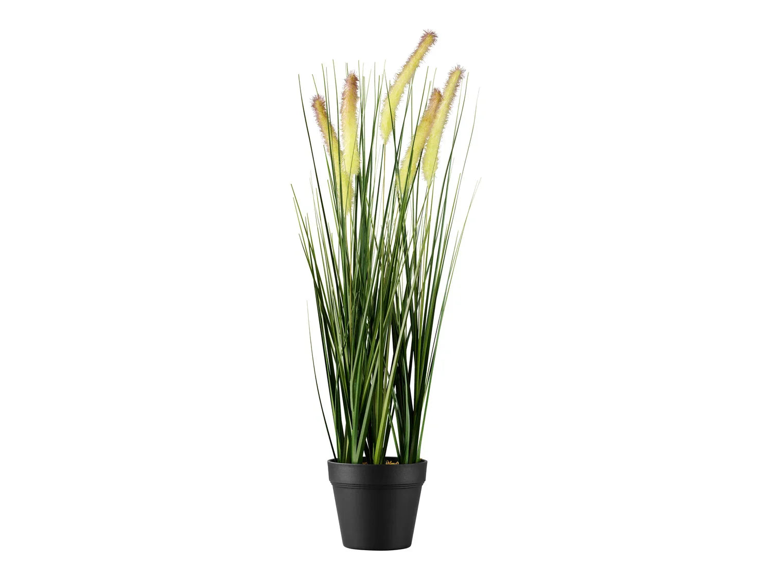 LIVARNO home Plante artificielle