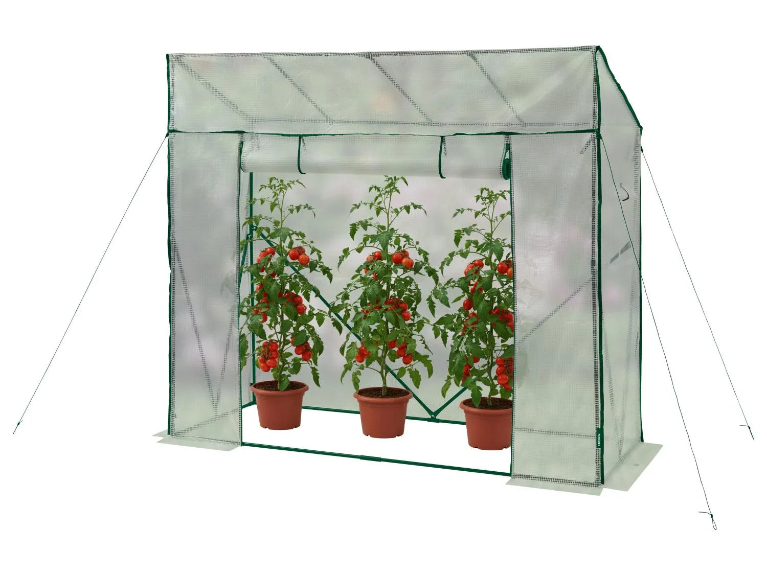 PARKSIDE Serre, 2,5 m