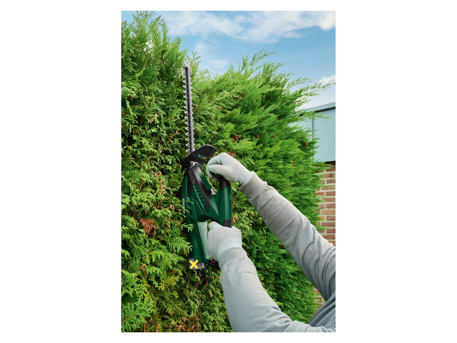 PARKSIDE Taille-haies sans fil PHSA 12 B1, 12 V