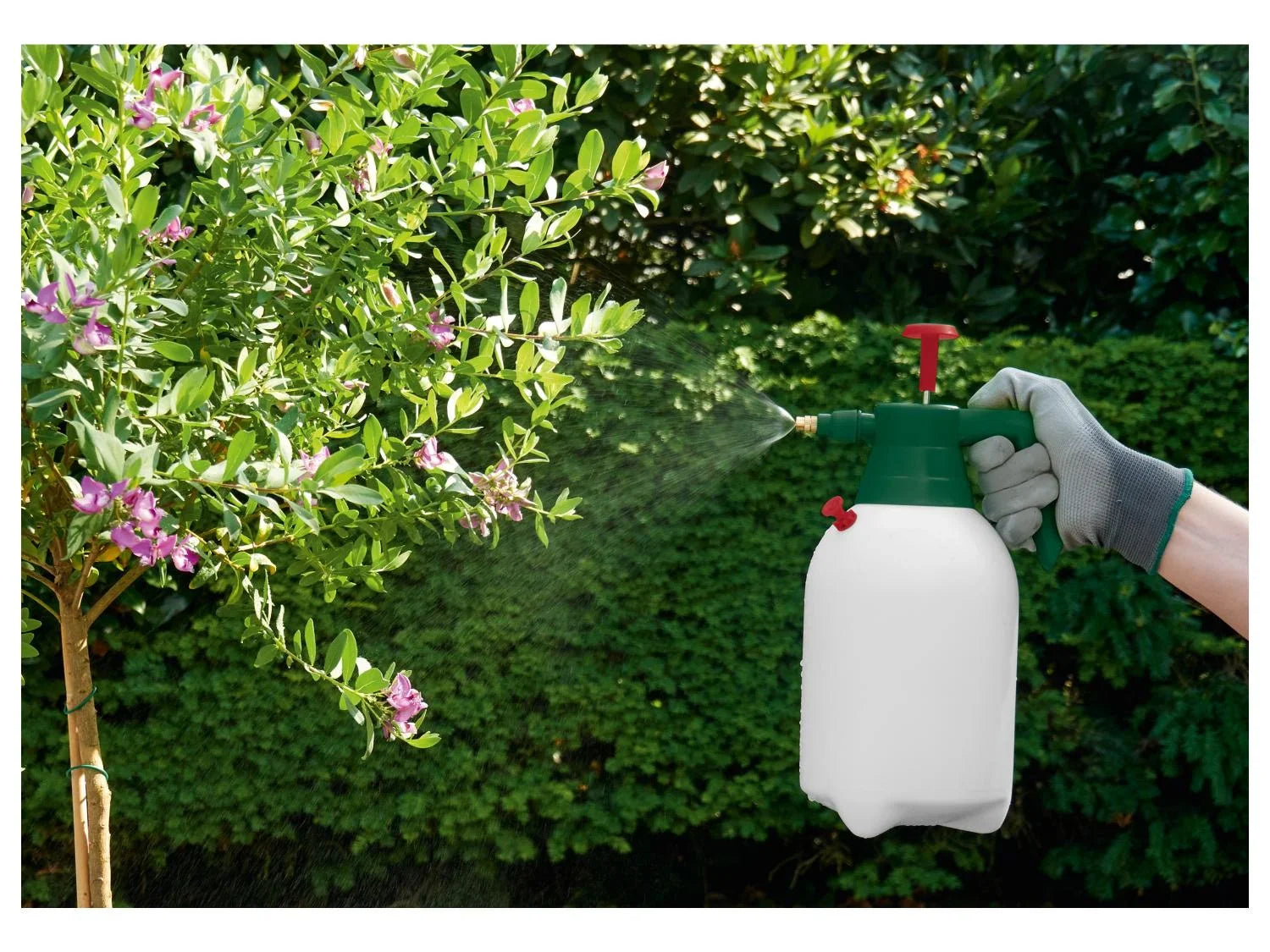 PARKSIDE Pulvrisateur  pression, 2 L