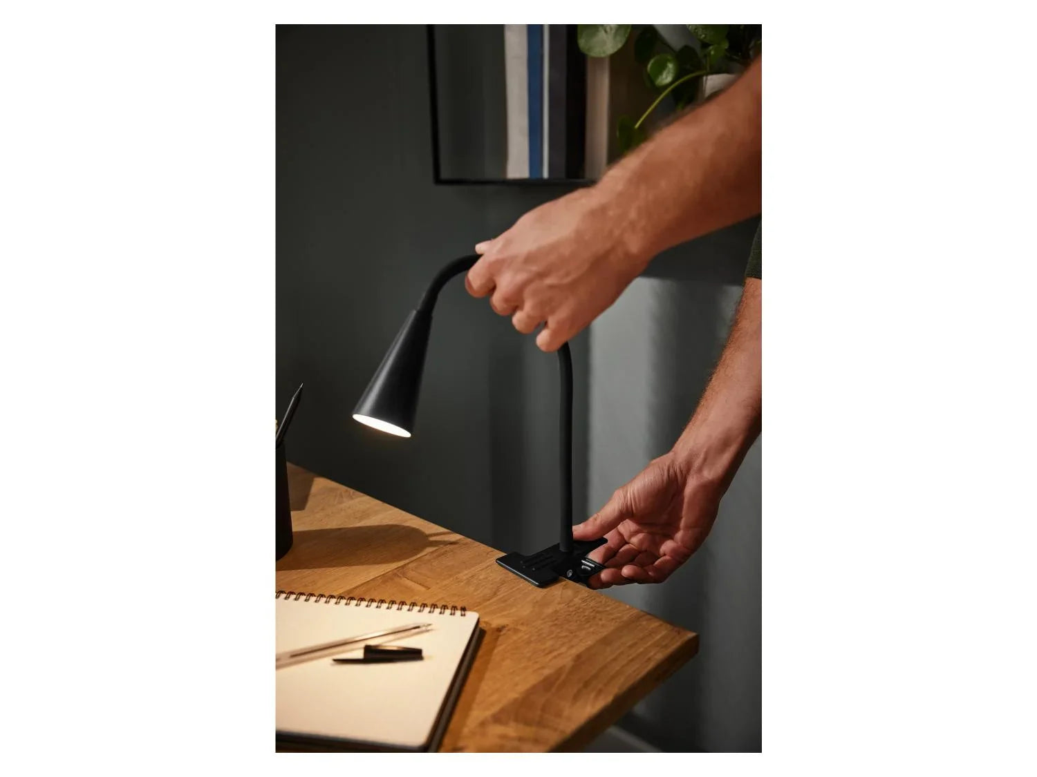 LIVARNO home Lampe LED  pince