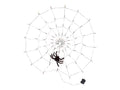 LIVARNO home Toile daraigne  LED