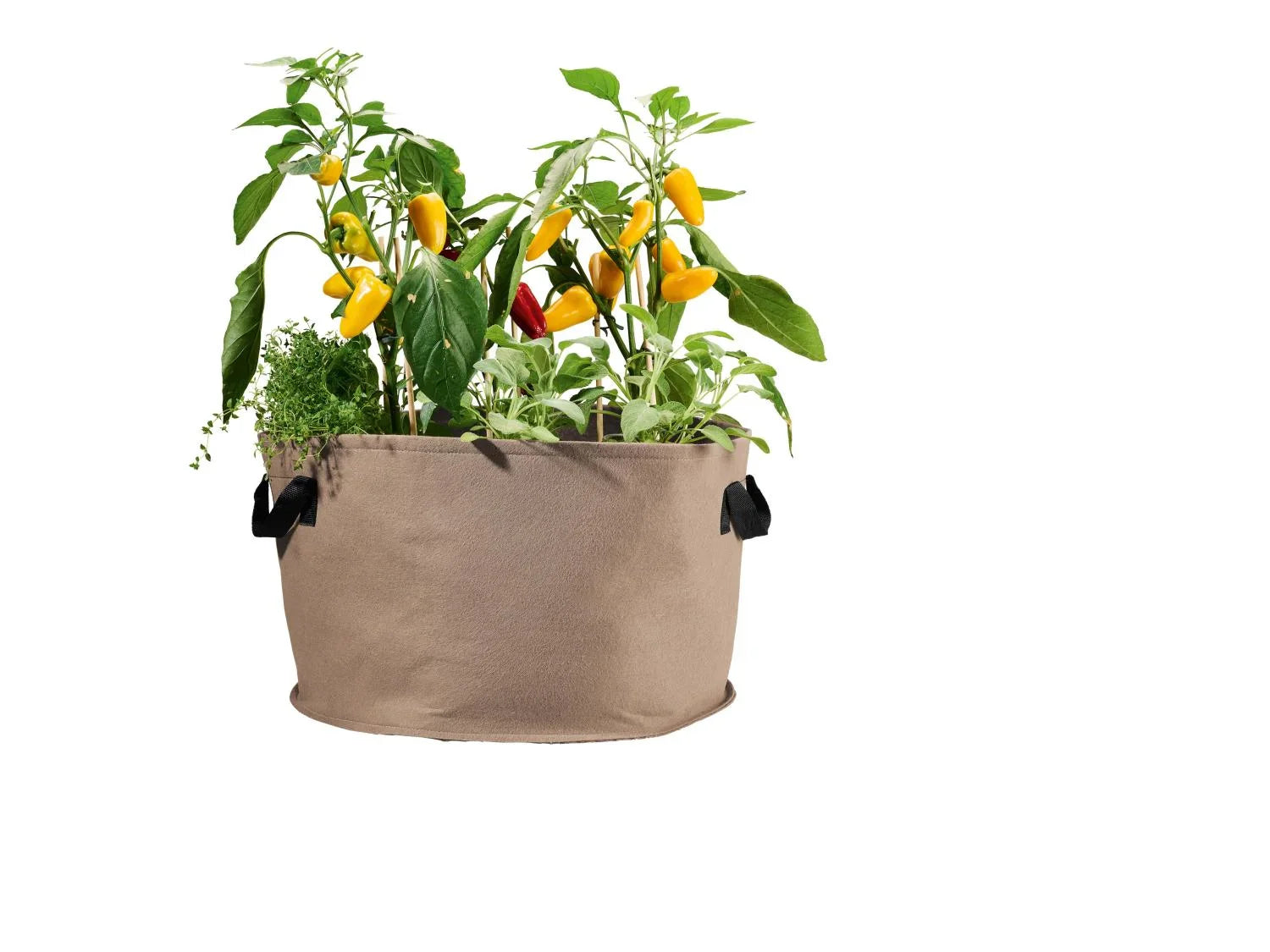 PARKSIDE Lot de 2 sacs de plantation