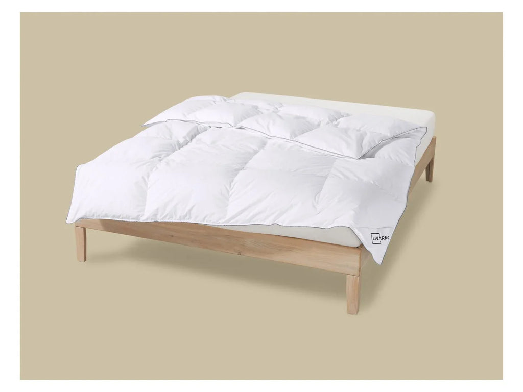 LIVARNO Couette en duvet Premium, 240 x 220 cm