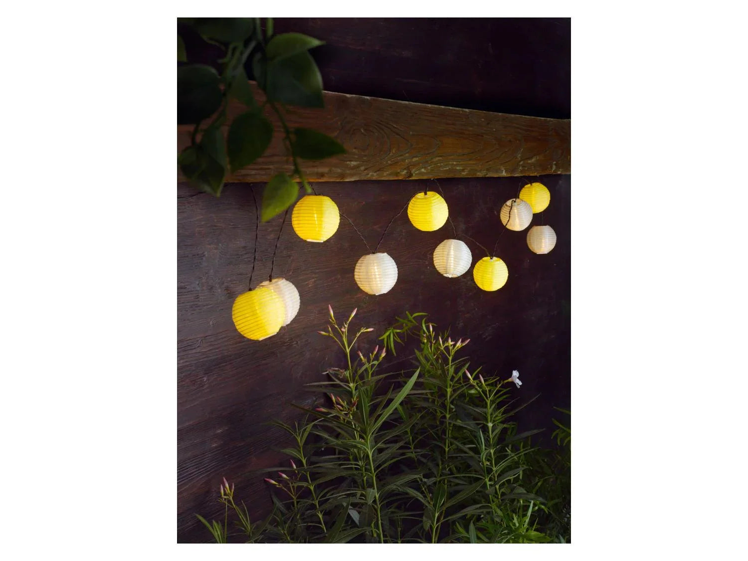 LIVARNO home Guirlande  LED XXL