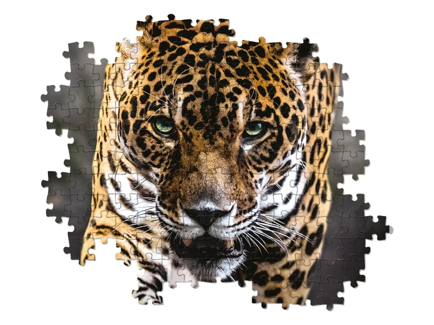 Clementoni Puzzle