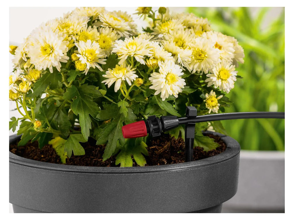 PARKSIDE Set d'arrosage goutte--goutte