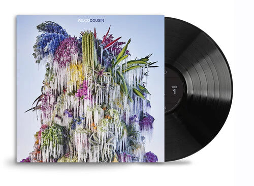 Wilco: Cousin