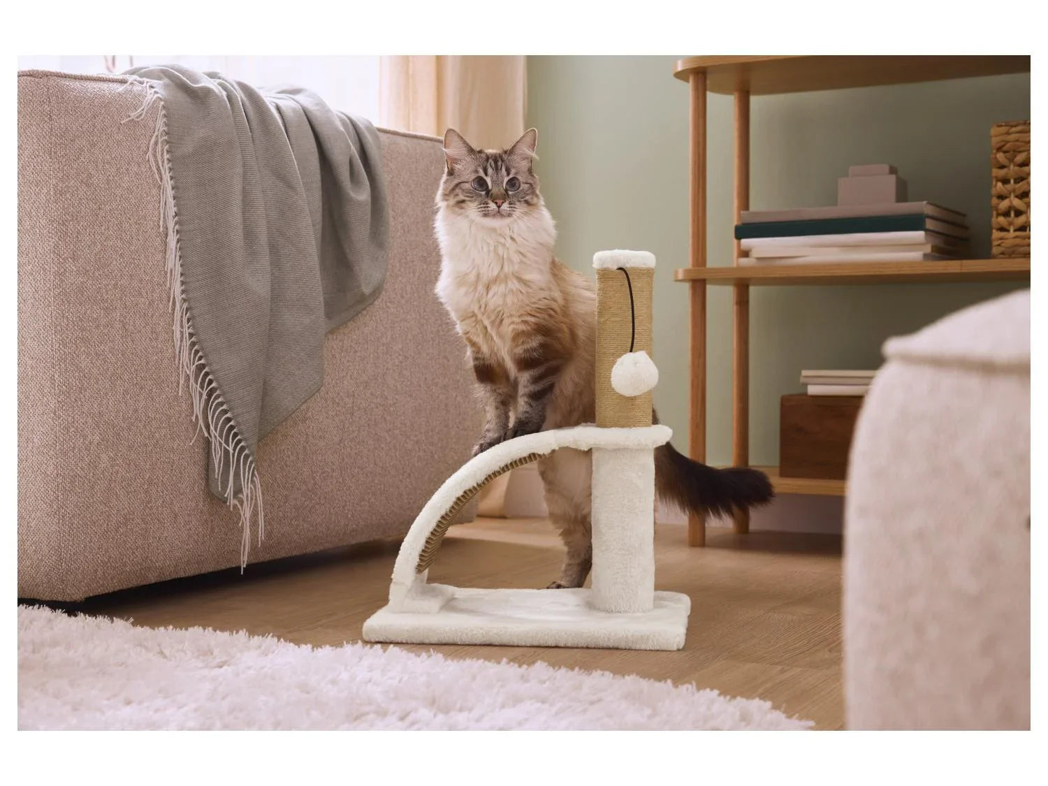 zoofari Griffoir avec planche ou brosse de massage