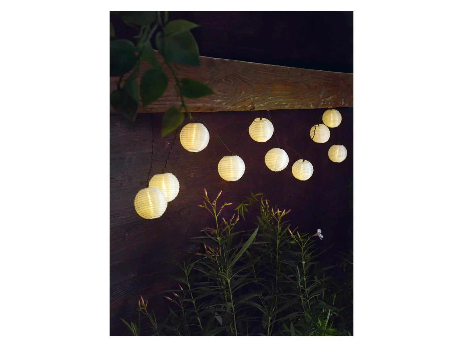 LIVARNO home Guirlande  LED XXL