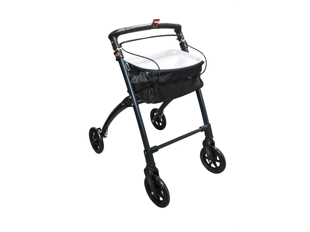 Ridder Dambulateur d'intrieur Pit