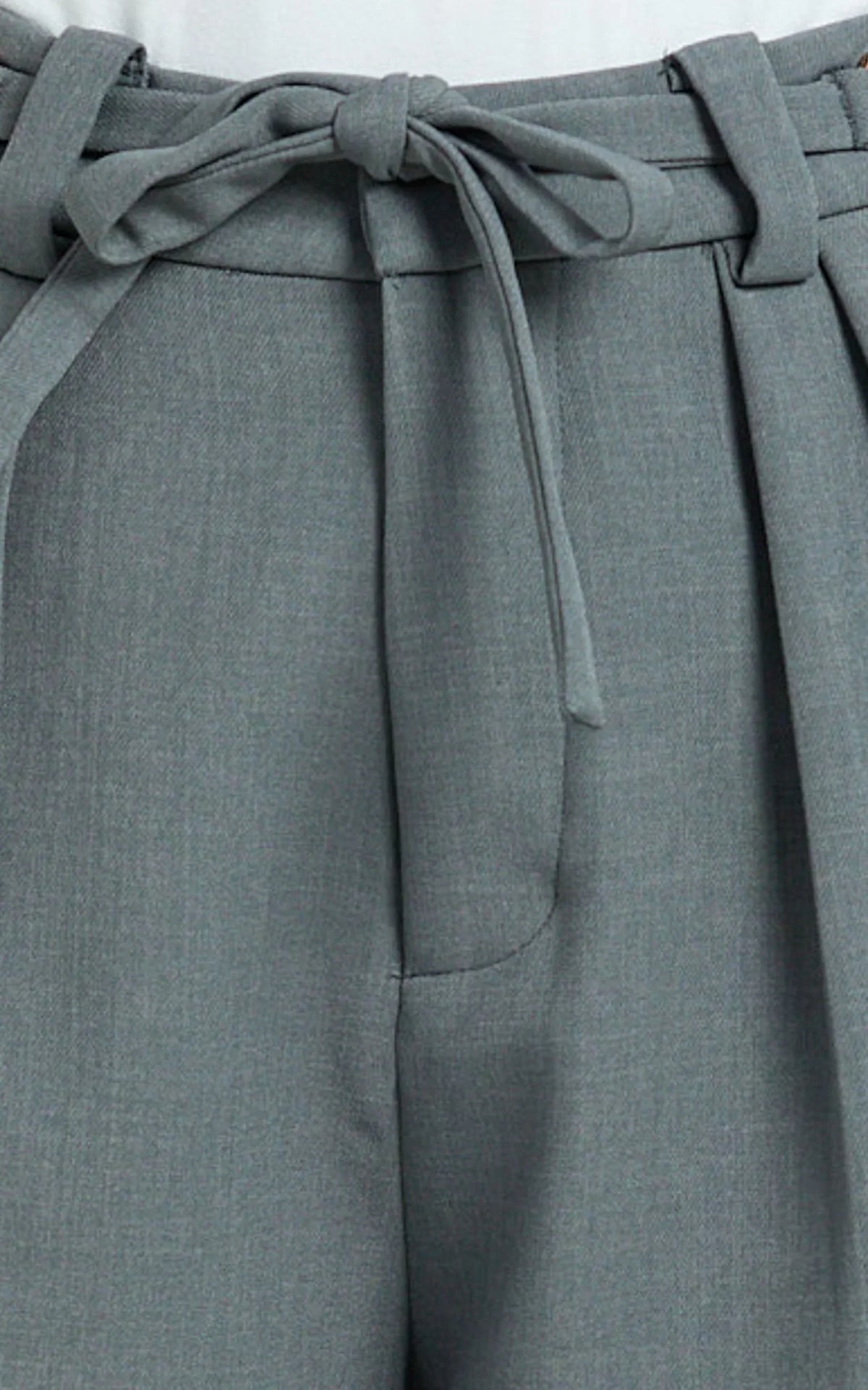 Frankie Pants - Low Rise Pleated Wide Leg Pant with Hardware Buckle in Grey