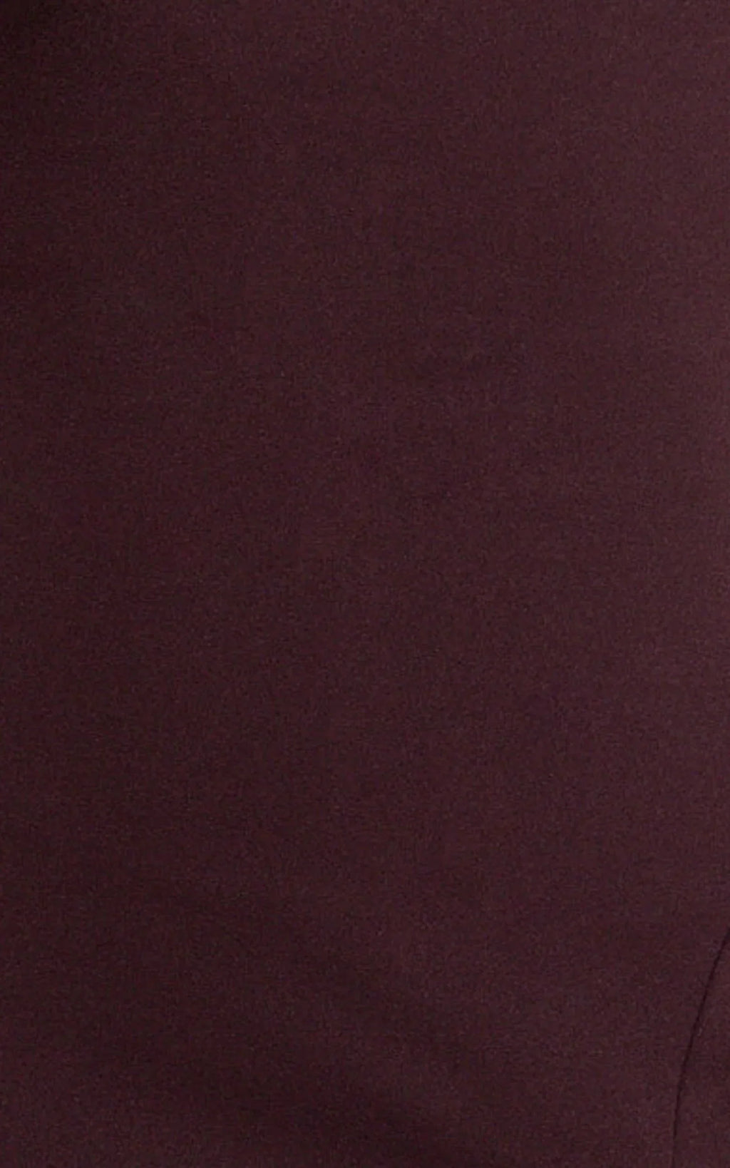 Raya Maxi Dress - Deep V Neck Low Back Bodycon Dress in Wine