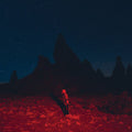BRIDGERS,PHOEBE - PUNISHER Vinyl LP