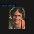 JAMES TAYLOR - DAD LOVES HIS WORK - BLUE COLOR - VINYL LP