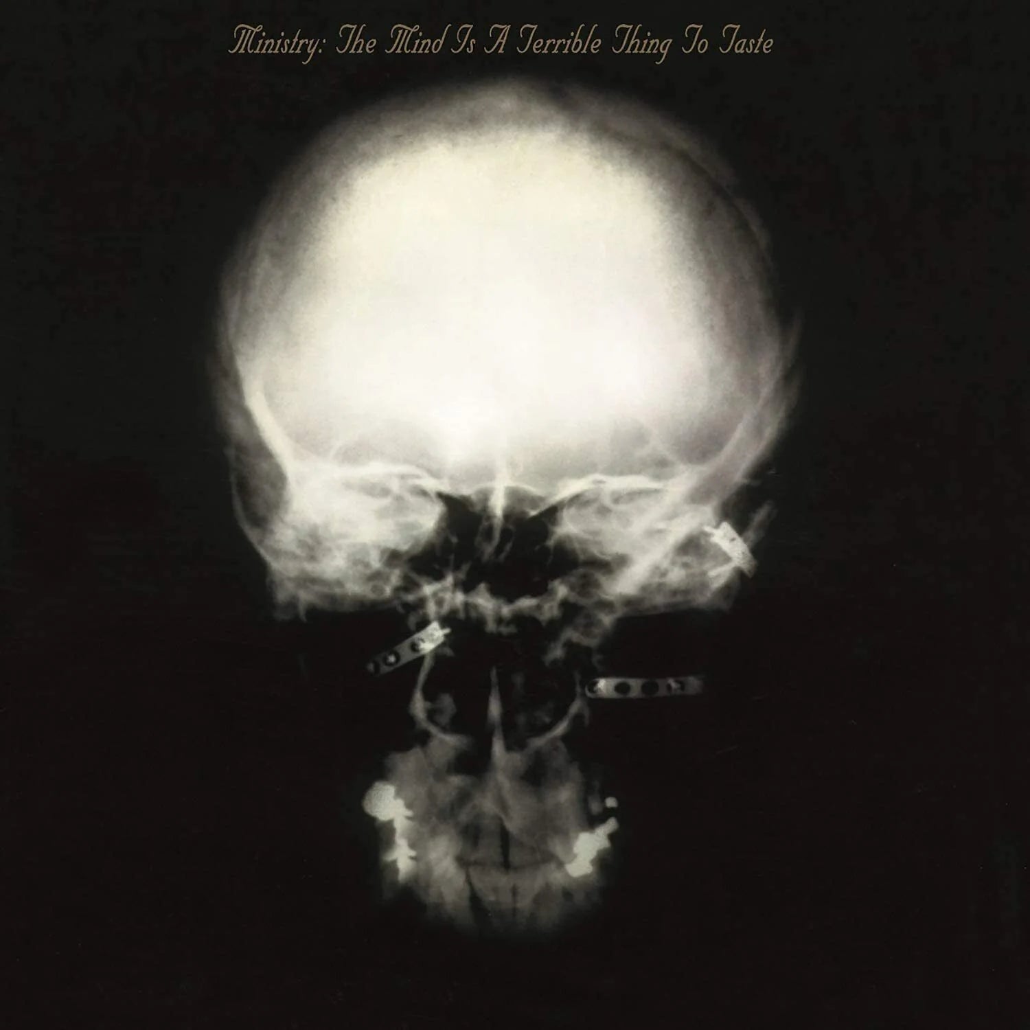 MINISTRY - THE MIND IS A TERRIBLE THING TO TASTE - LIMITED EDITION - VINYL LP