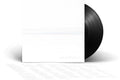 FOO FIGHTERS - BUT HERE WE ARE Vinyl LP